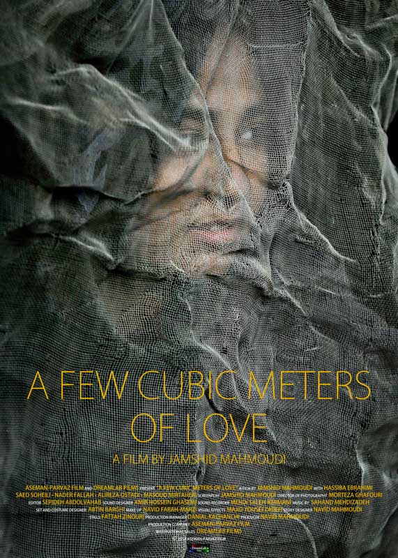 A few cubic meters of love - film fiction