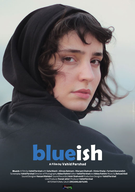 Blueish Poster with DreamLab Films