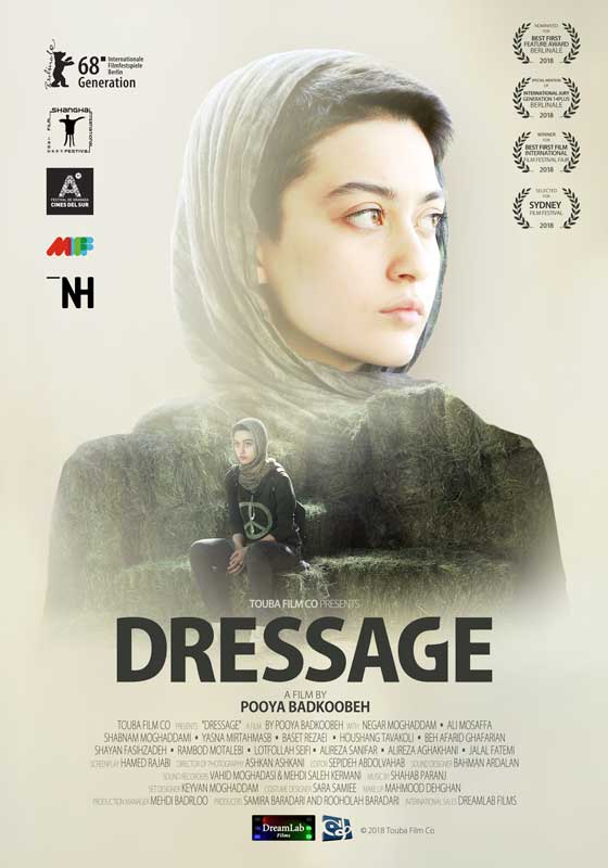 Dressage film poster