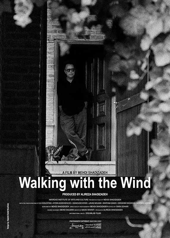 Walking with the wind poster