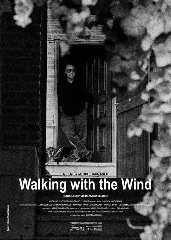 Walking with the wind poster